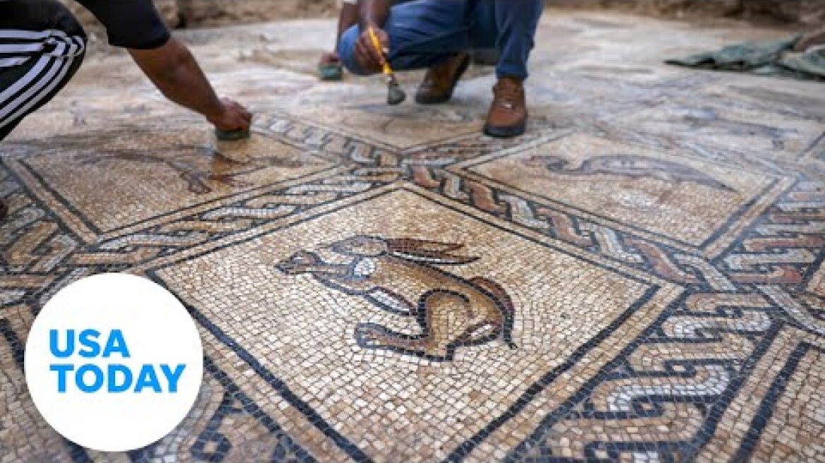 Byzantine-era mosaic discovered by farmer on Gaza Strip | USA TODAY