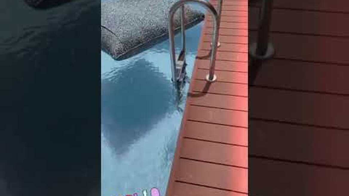 Κωνσταντίνα Σπυροπούλου: Βουτιές στην πισίνα!