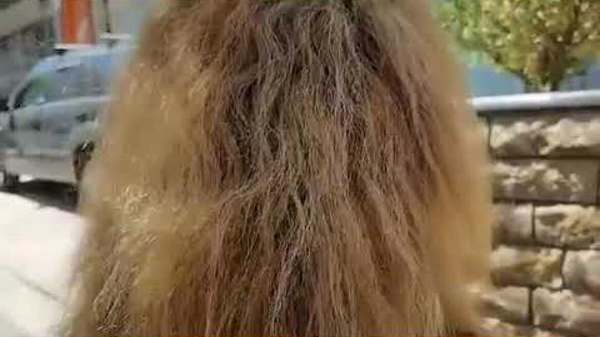 Ζωγράφου δηλώσεις (2)