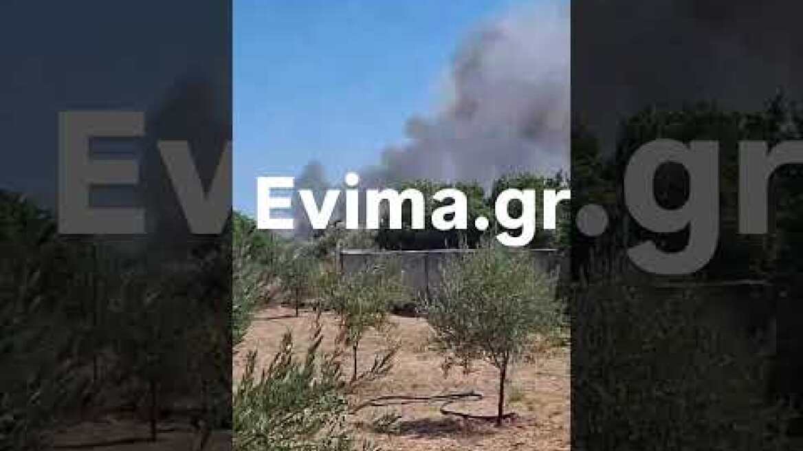 Φωτιά στο Αλιβέρι