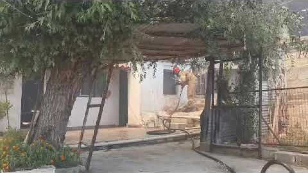 Φωτιά στην Φυλή: Καίγονται σπίτια (3)