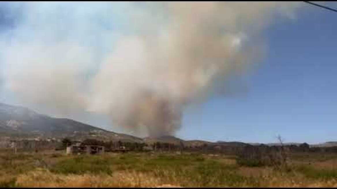 Φωτιά μέσα στον δρυμό της Πάρνηθας (2)