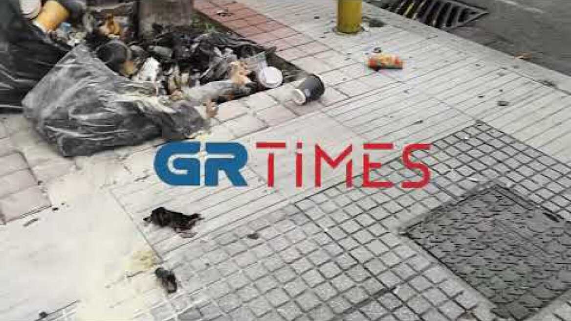 Επίθεση με βόμβες μολότοφ σε διμοιρία ΥΜΕΤ στην Αγίου Δημητρίου