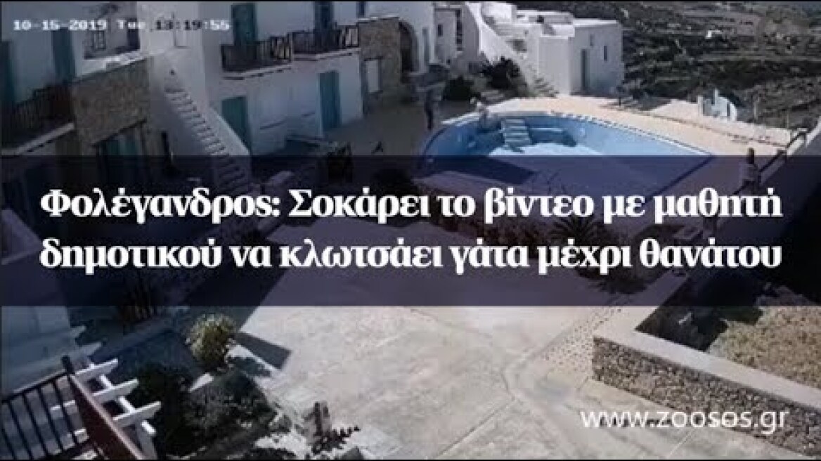 Φολέγανδρος: Σοκάρει το βίντεο με μαθητή δημοτικού να κλωτσάει γάτα μέχρι θανάτου