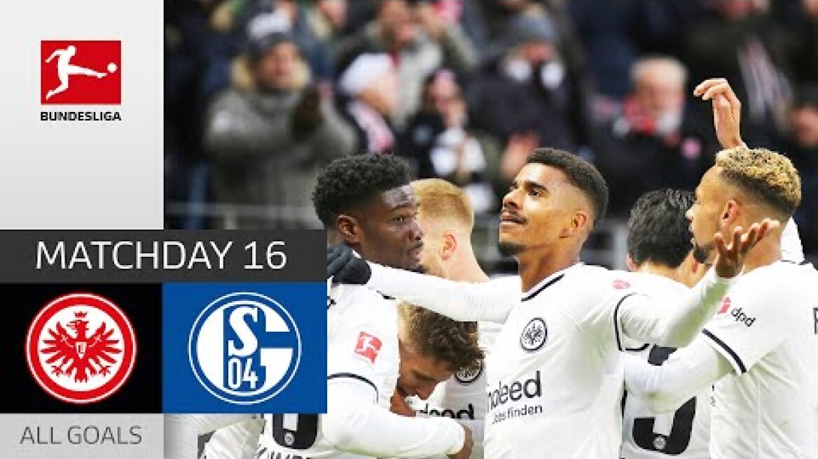 Frankfurt jumps to 2nd Place | Eintracht Frankfurt - FC Schalke 3-0 | All Goals | MD 16 – BL 22/23