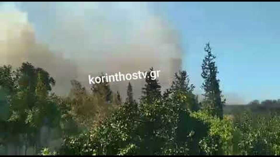 Σε εξέλιξη πυρκαγιά στην Αρχαία Κόρινθο