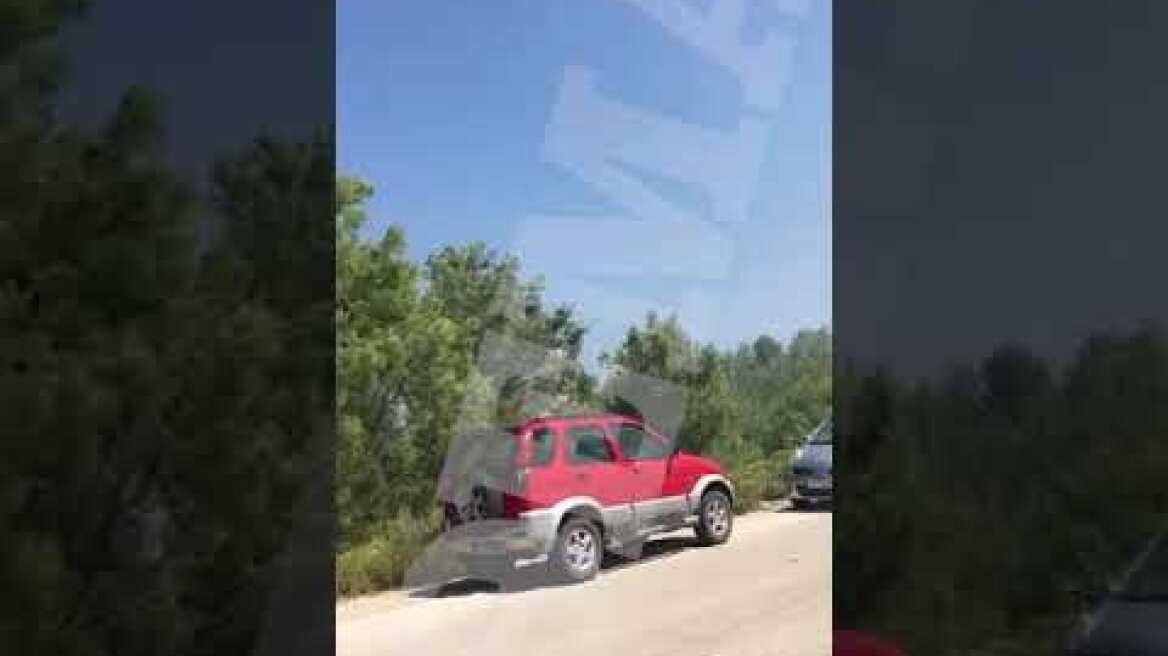 Κάτοικοι στη Μαλώνα Ρόδου δημιουργούν μόνοι τους αντιπυρικές ζώνες κόβοντας δέντρα