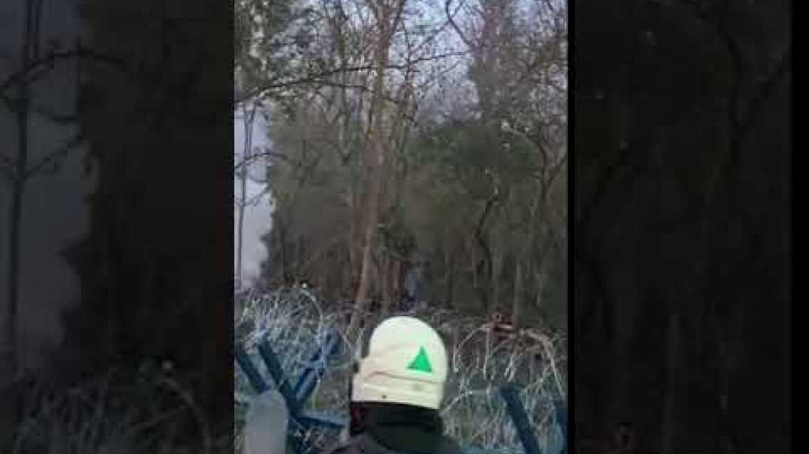 ΔΑΣΟΣ ΚΑΣΤΑΝΙΕΣ