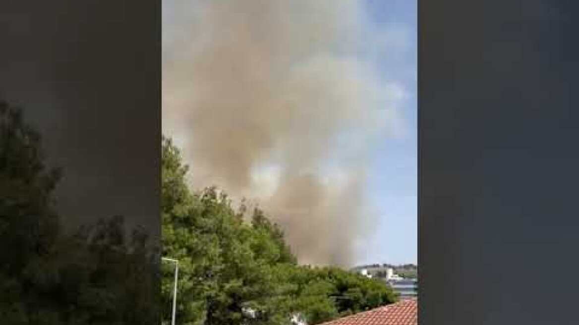 Φωτιά στις Αφίδνες