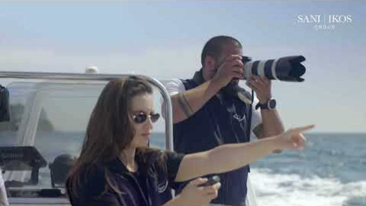 Sani/Ikos Group: Transforming Tourism for a Sustainable Future