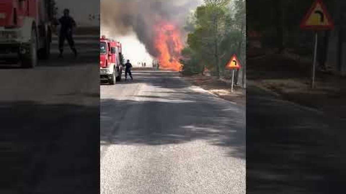 Μέγαρα φωτιά (5)
