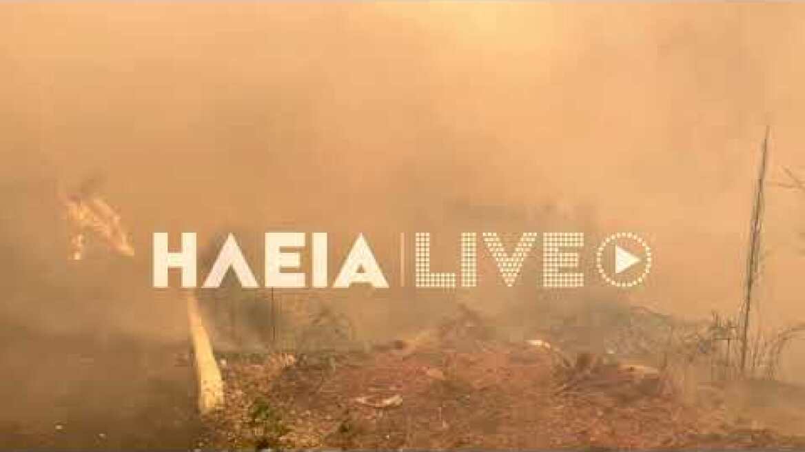 7 Αυγούστου 2021