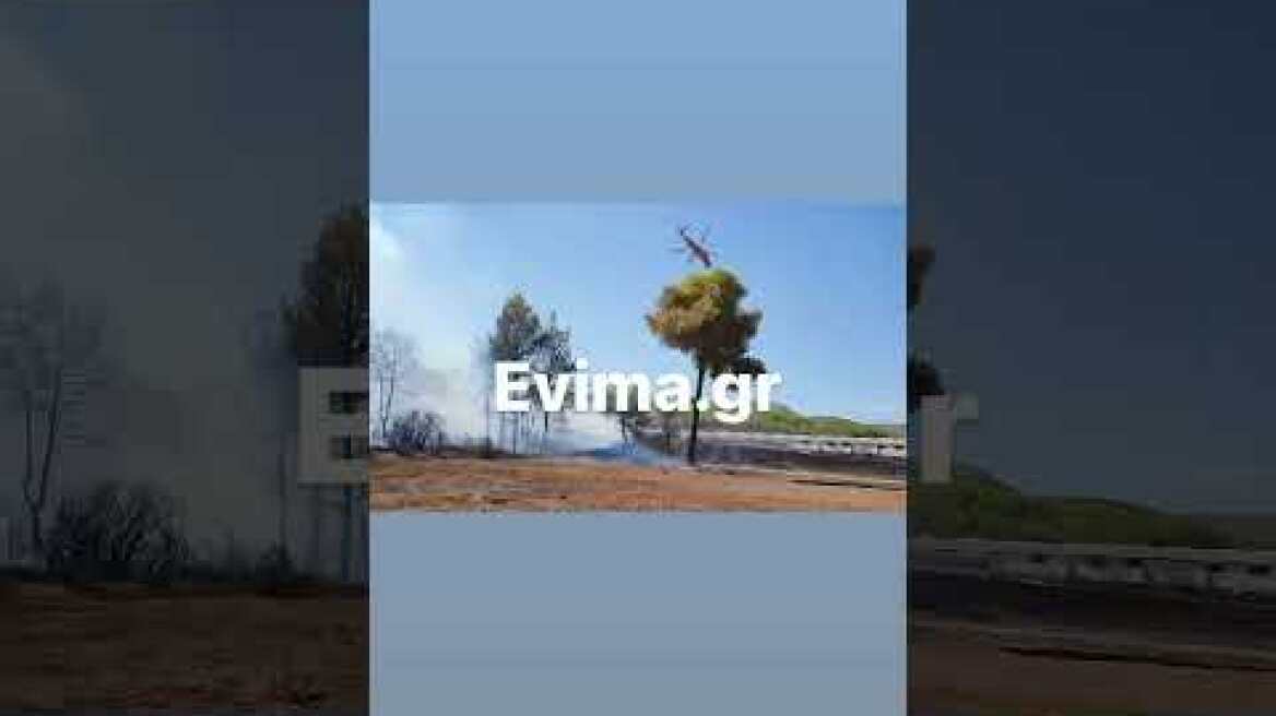Φωτιά στον Πισσώνα Ευβοίας