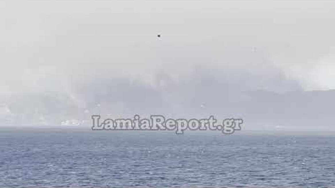 LamiaReport.gr: Η φωτιά στη Λίμνη Εύβοιας είναι ορατή από τη Φθιωτιδα