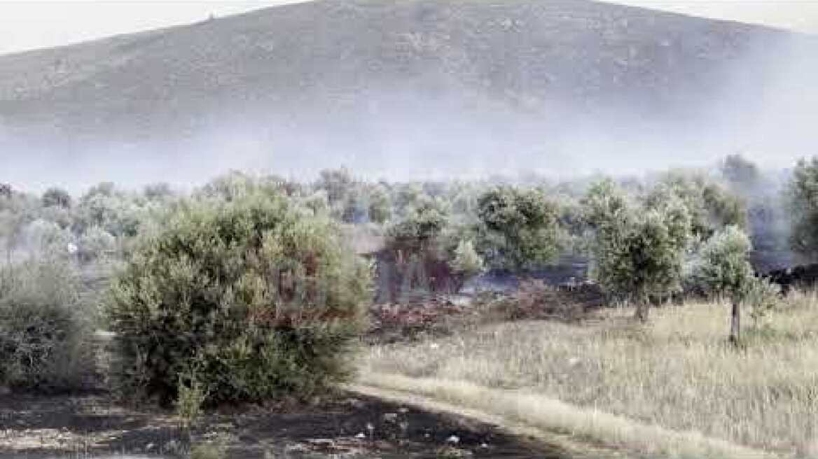 Δύο πυρκαγιές ξέσπασαν στην ΤΚ Χωστίων - Μεγάλη κινητοποίηση από την πυροσβεστική