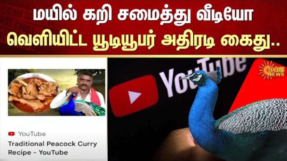Peacock Curry Recipe | Cooking | Telangana Youtuber Arrested | Kodam Pranay Kumar | Sun News
