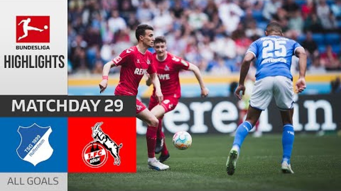 Highlights | Hoffenheim - Fc Koln | Matchday 29 Bundesliga 2022/2023