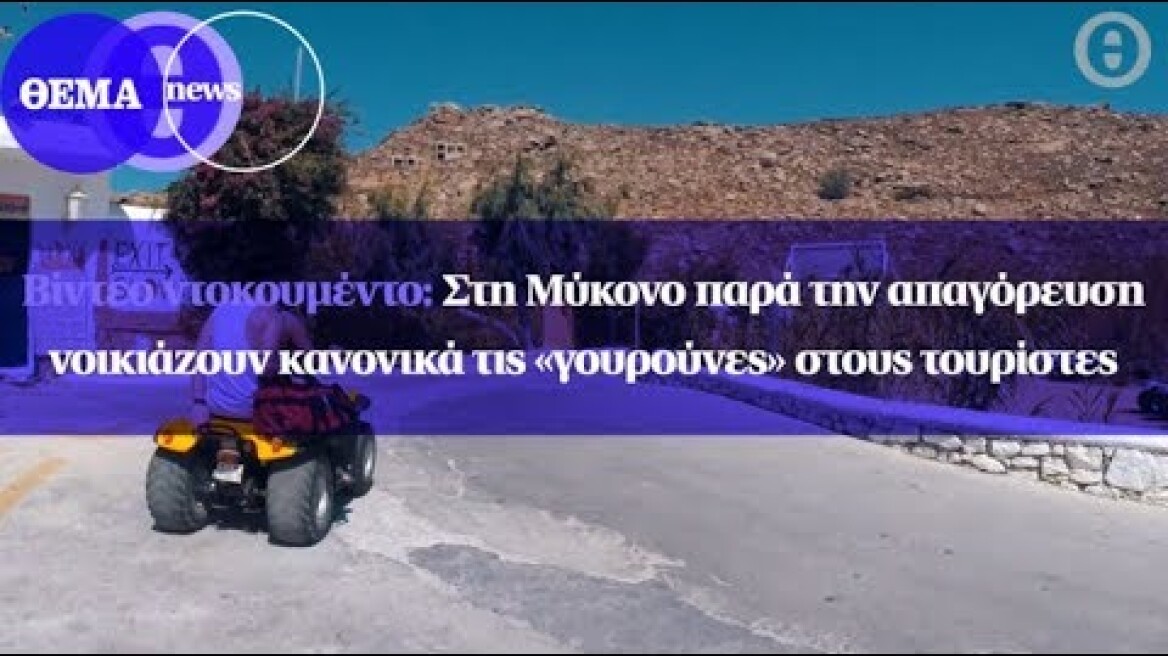 Στη Μύκονο παρά την απαγόρευση νοικιάζουν κανονικά τις «γουρούνες» στους τουρίστες