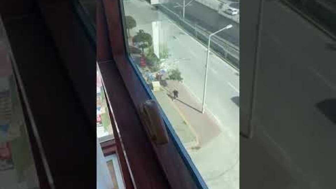 Çukurova Ak Parti binasına silahlı saldırı