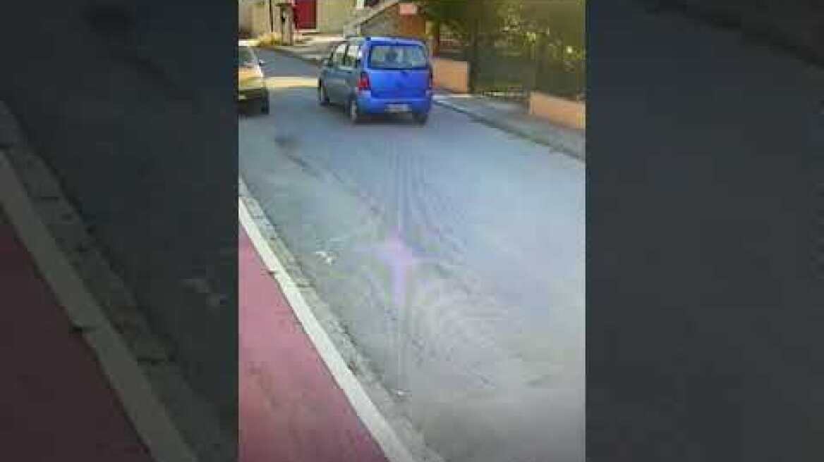 Θεσσαλονίκη: «Πέρασε πάνω από το σκυλί και το εγκατέλειψε αιμόφυρτο» λέει η ιδιοκτήτρια του ζώου