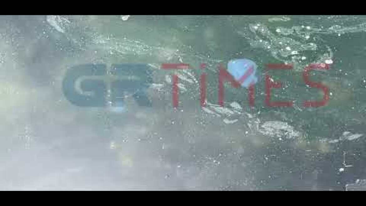 Μπλε μέδουσες στην παραλία της Θεσσαλονίκης