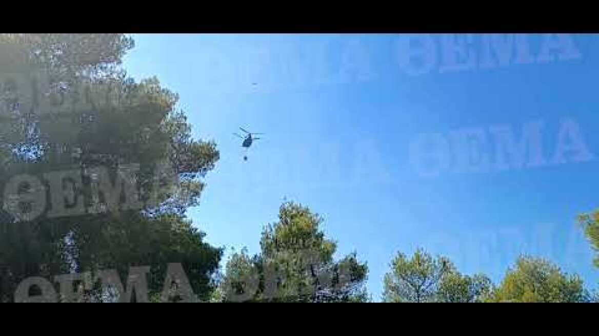 Εικόνες από τη φωτιά στο Πόρτο Γερμενό (2)