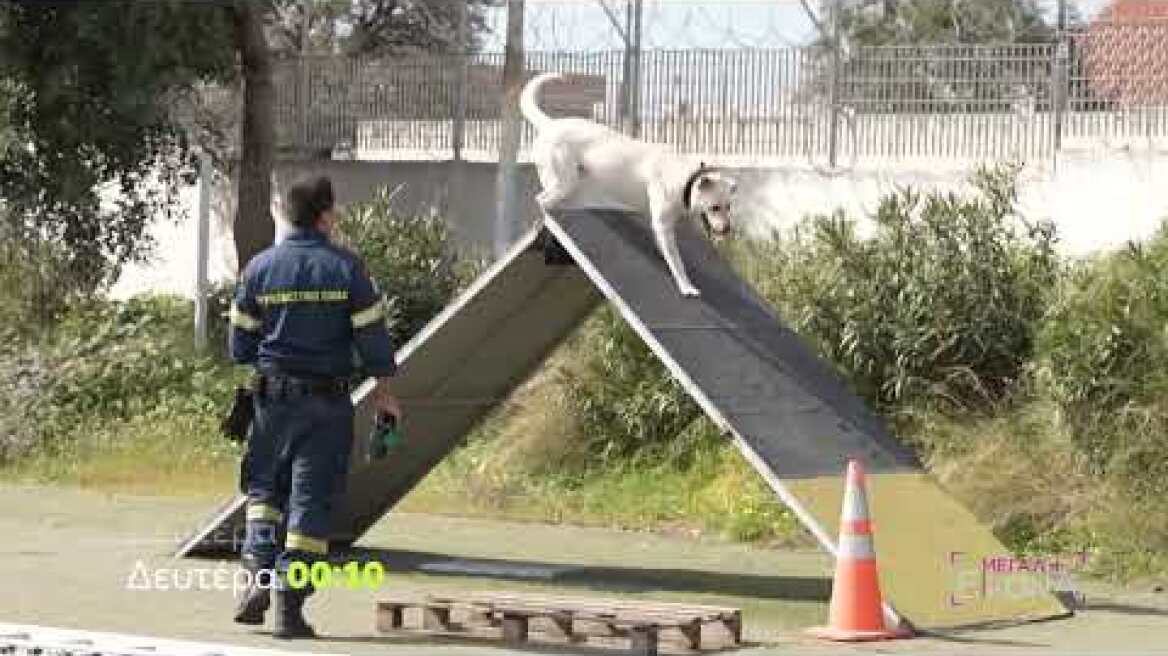 Μεγάλη Εικόνα | Δευτέρα 20/3 00:10 (trailer)