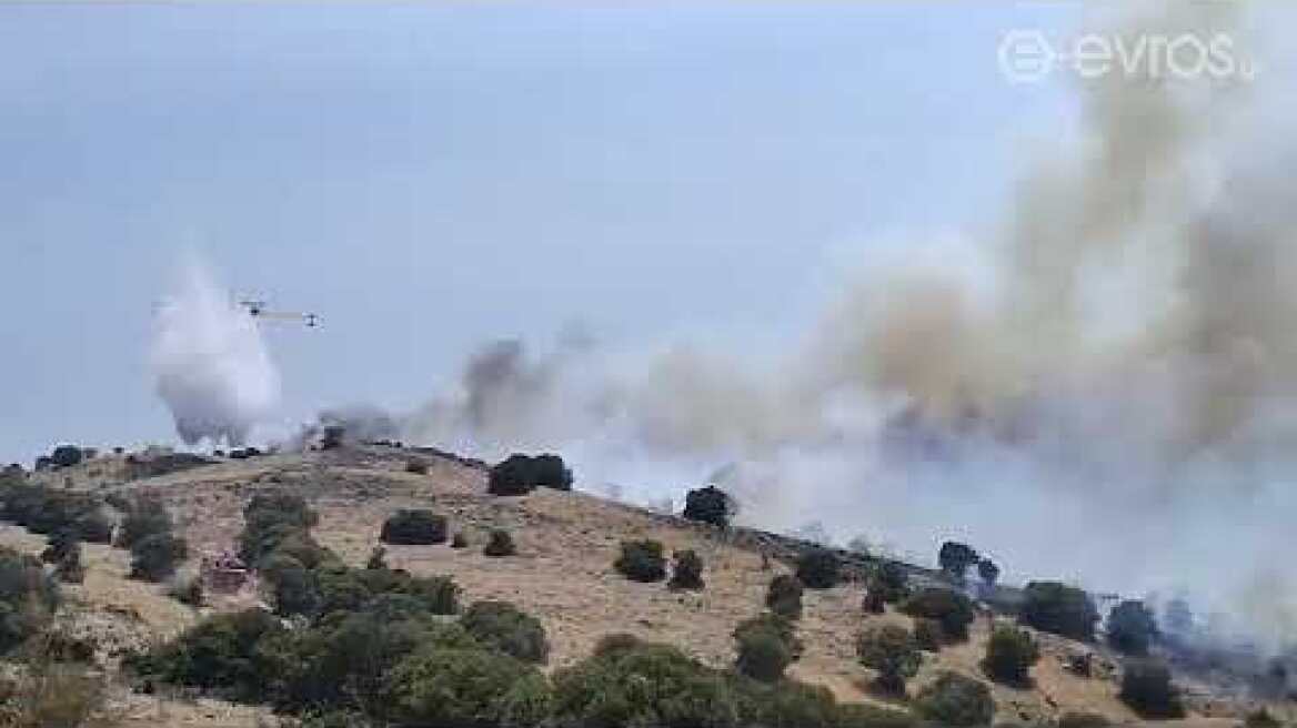 (14:10) Νέα αναζωπύρωση αυτή την ώρα στην περιοχή ανάμεσα Τριφύλλι - Λευκίμμη