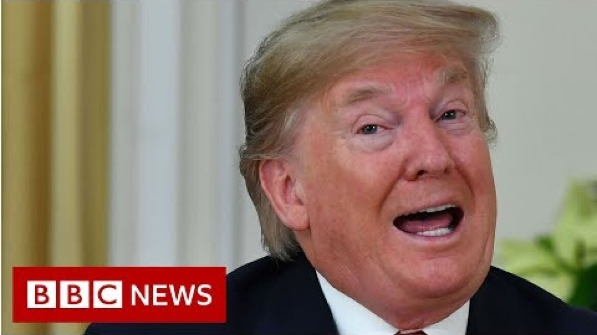 Trump blasts Macron 'brain dead' comments as 'nasty' - BBC News