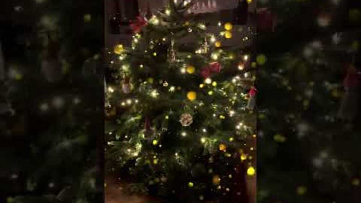 79891968 603157100424781 4029011289546833193 n