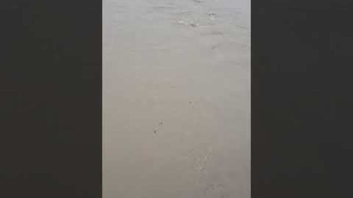 Πηνειός ποταμός στο Βαλομάνδρι