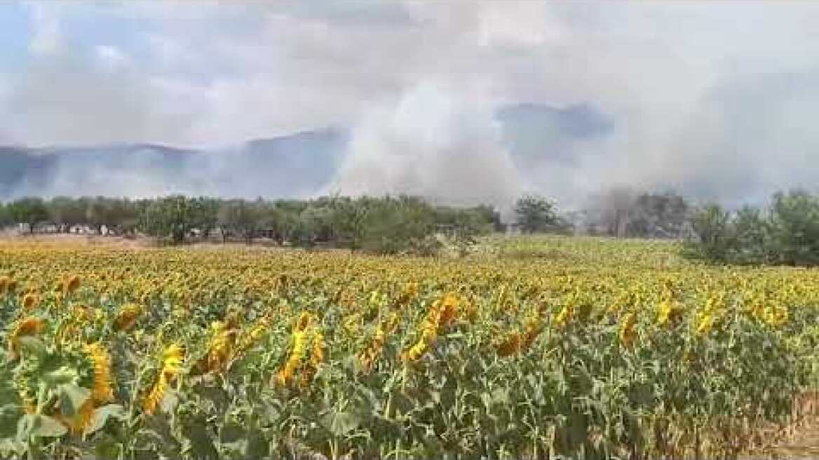 Μεγάλη φωτιά σε εργοστάσιο ξυλείας λίγο πριν το Χρυσό Σερρών