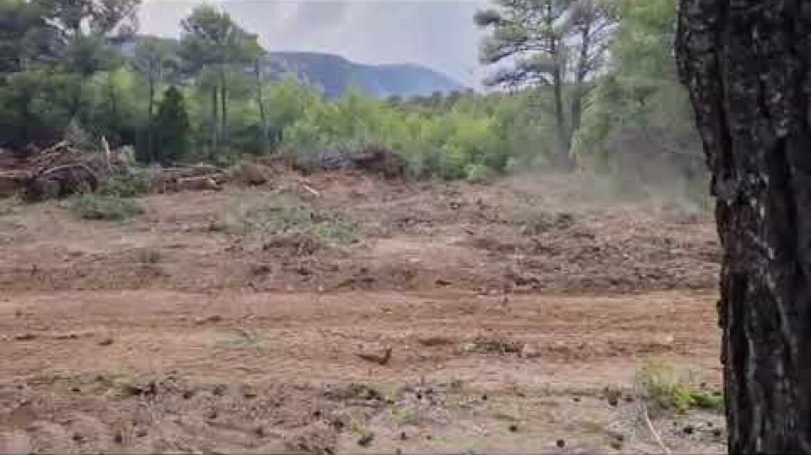 Πάρνηθα - Αντιπυρικές ζώνες