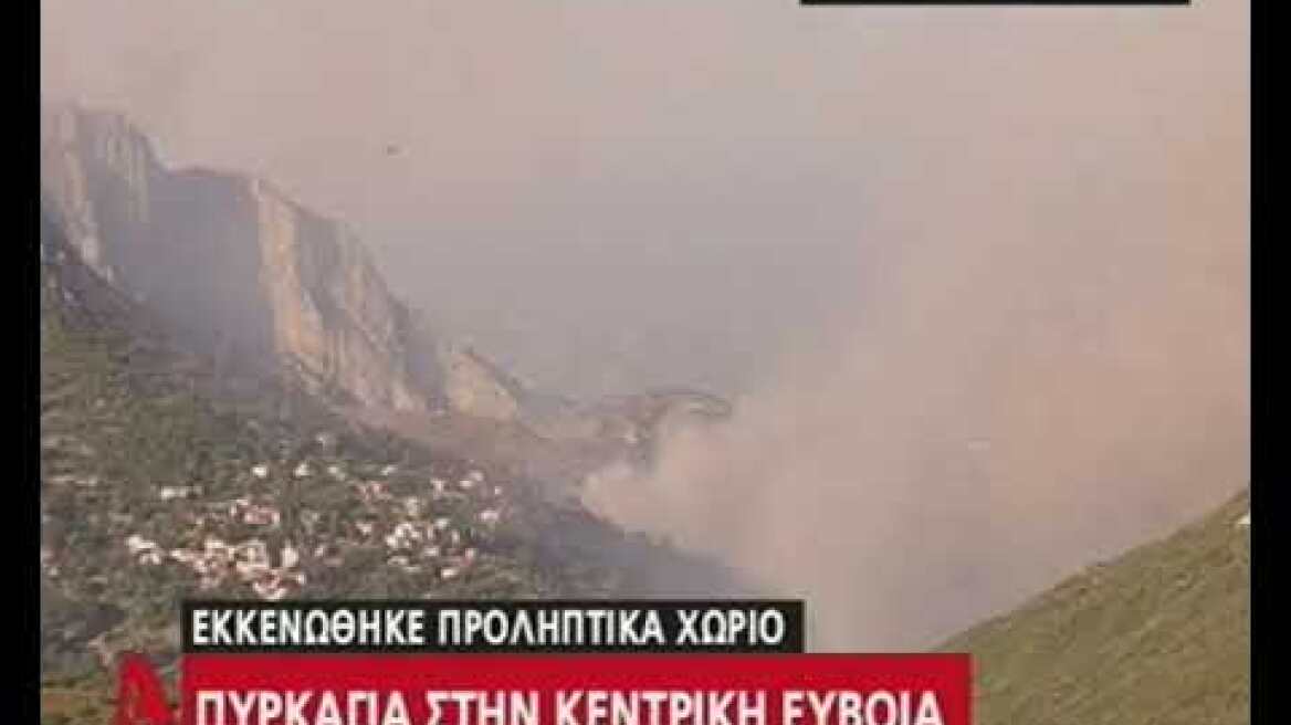 Φωτιά στην Εύβοια