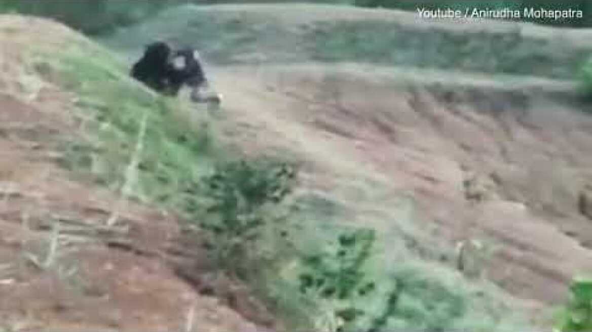 Shocking moment man is mauled to death in vicious bear attack