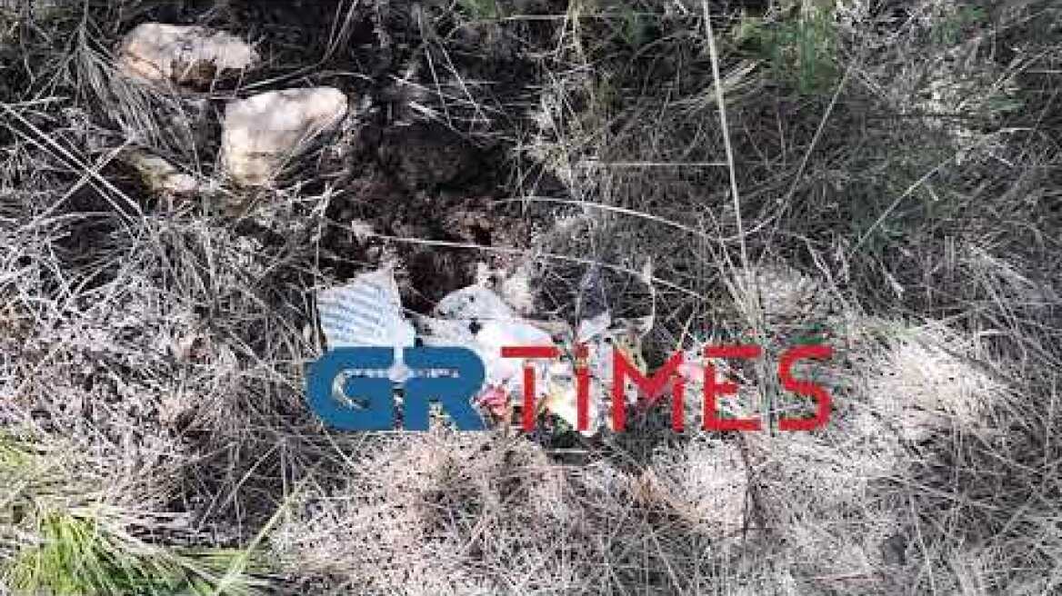 Αυτοψία GRTimes στο σημείο της φωτιάς στο Σέιχ Σου - Γλάστρες για καλλιέργεια κάνναβης στο σημείο