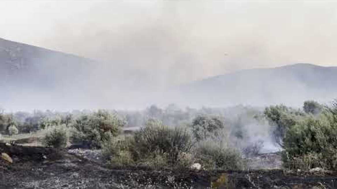 Σε εξέλιξη βρίσκεται πυρκαγιά στο Σαράντι Βοιωτίας