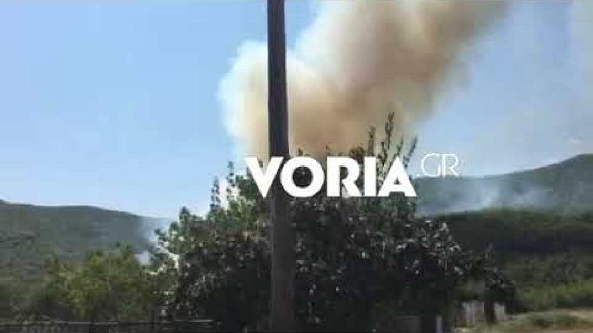 Φωτιά σε δασική έκταση στο Παγγαίο