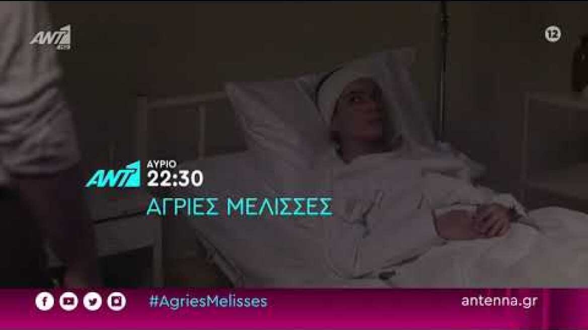 Αγριες μέλισσες - τρίτη  7/6/22 (επεισόδιο 126 Γ κύκλος) (HD) - TRAILER