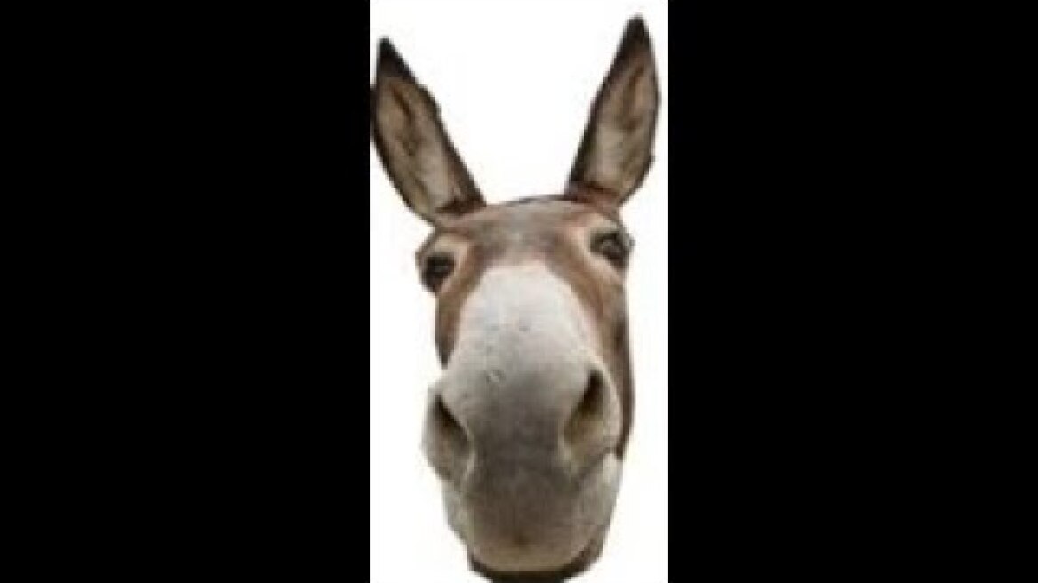 happy wednesday everyone