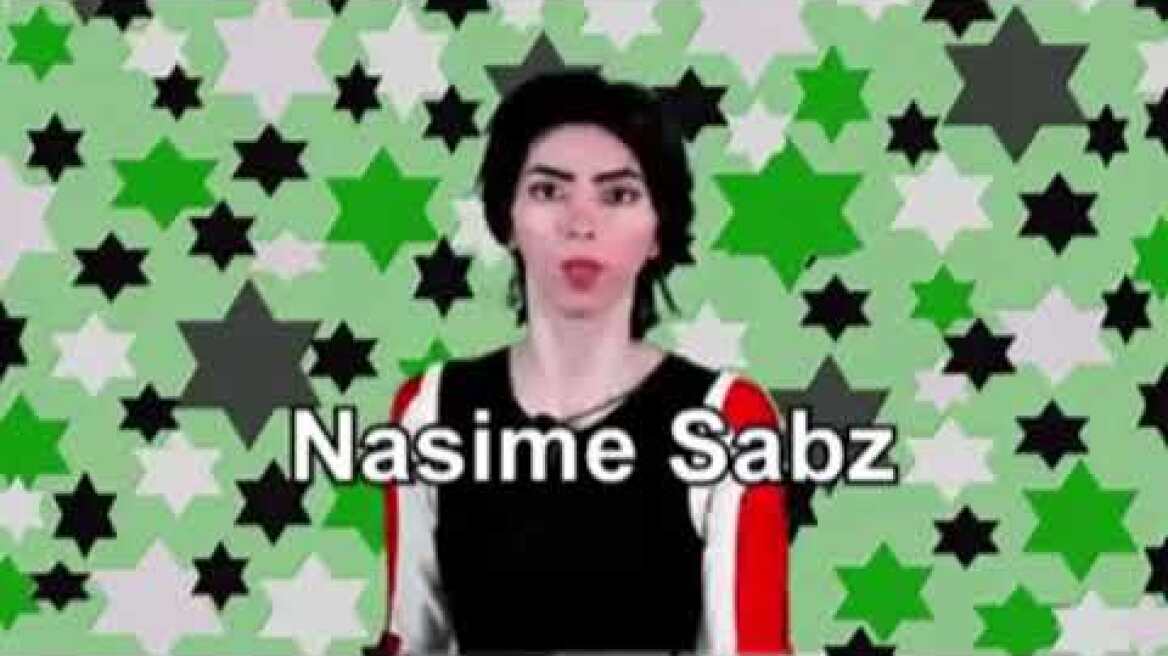Nasim Aghdam YouTube Identified
