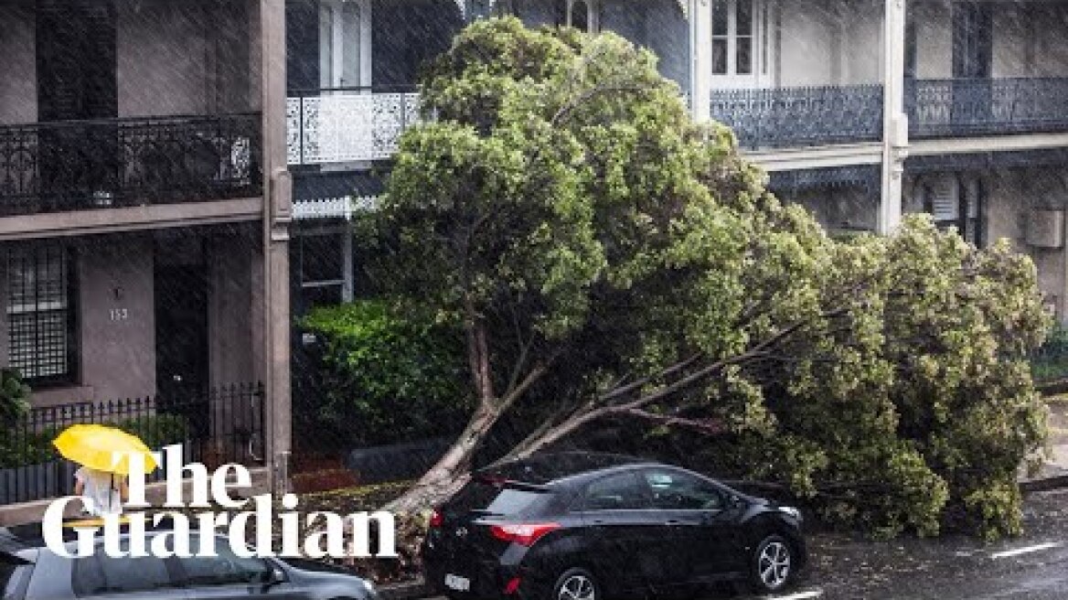 NSW floods and weather: a weekend of rainfall sparks havoc