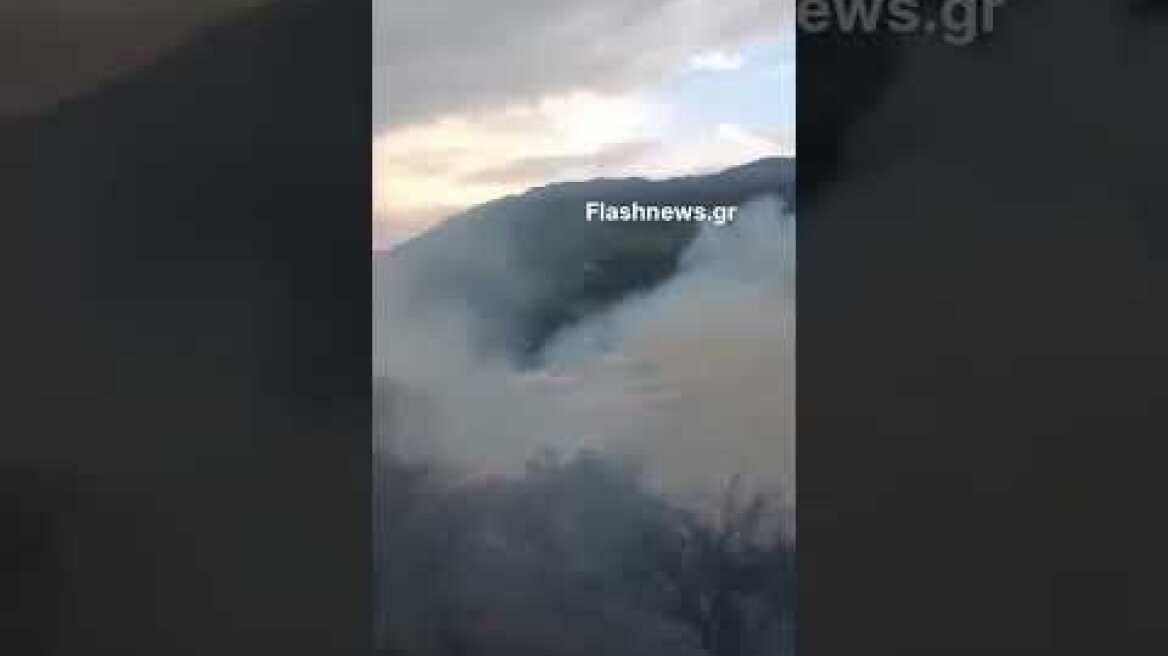 Μεγάλη πυρκαγιά στο χωριό Καλαμίτσι Αμυγδάλου στον Αποκόρωνα