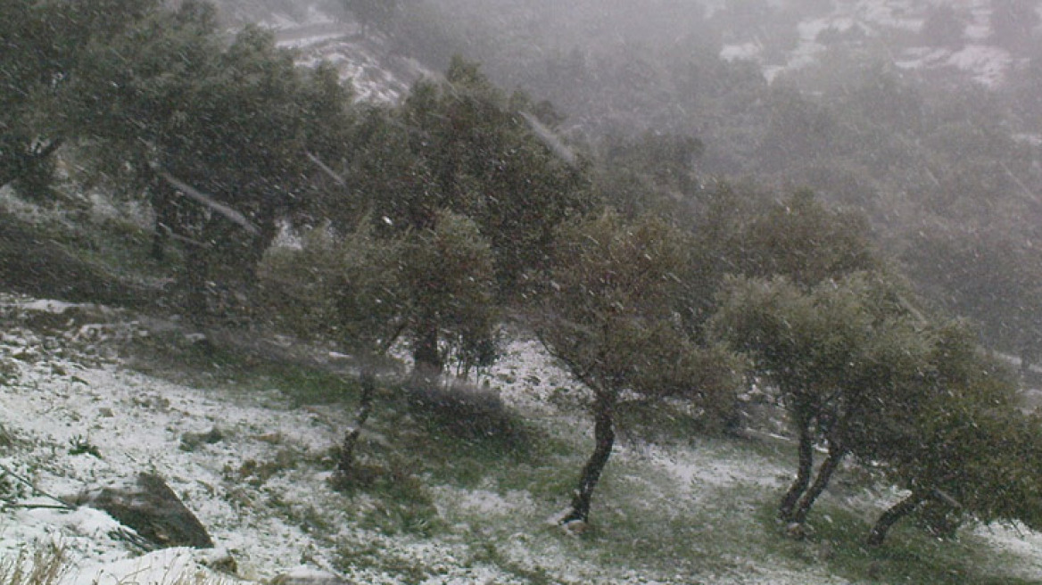 Τσουχτερό κρύο σε όλη την Ελλάδα