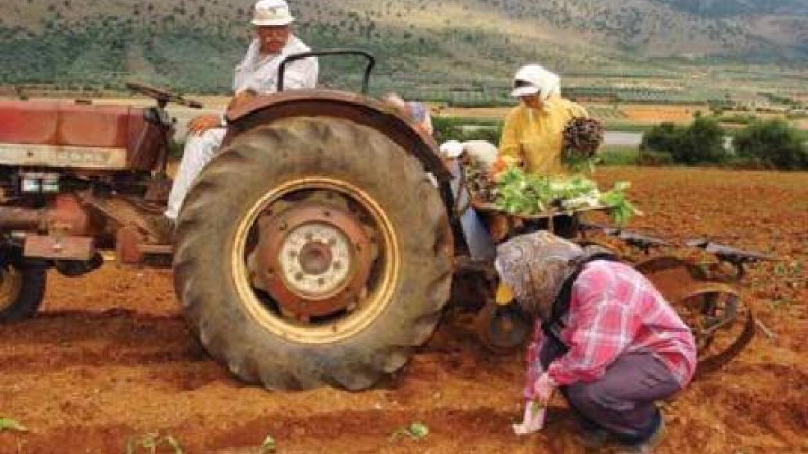 Από την αύξηση της θερμοκρασίας κινδυνεύει η γεωργική παραγωγή των ΗΠΑ 