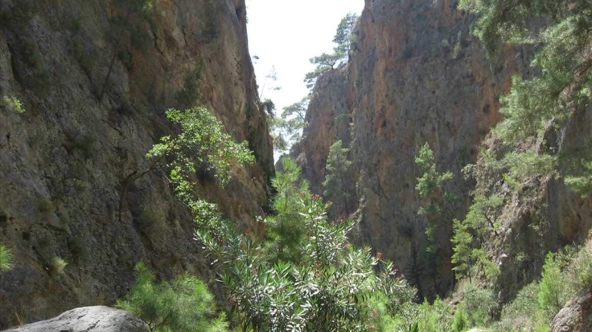 Στα 10 στρέμματα η αρτιότητα στις Natura 