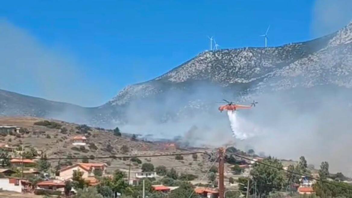 Υπό έλεγχο η φωτιά στην Βοιωτία - Οι φλόγες «έγλειψαν» τις αυλές των σπιτιών στην Αλυκή