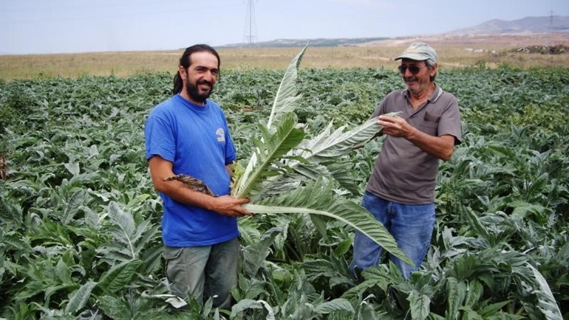 Άρχισε η ΔΕΗ να βγάζει ρεύμα από …αγκινάρα!