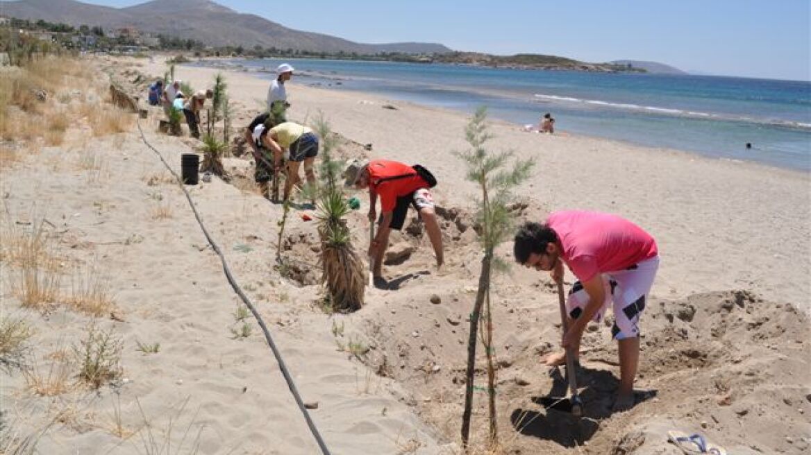 Δενδροφύτευση και καθαρισμός παραλίας από τη Rolco στο Λαγονήσι