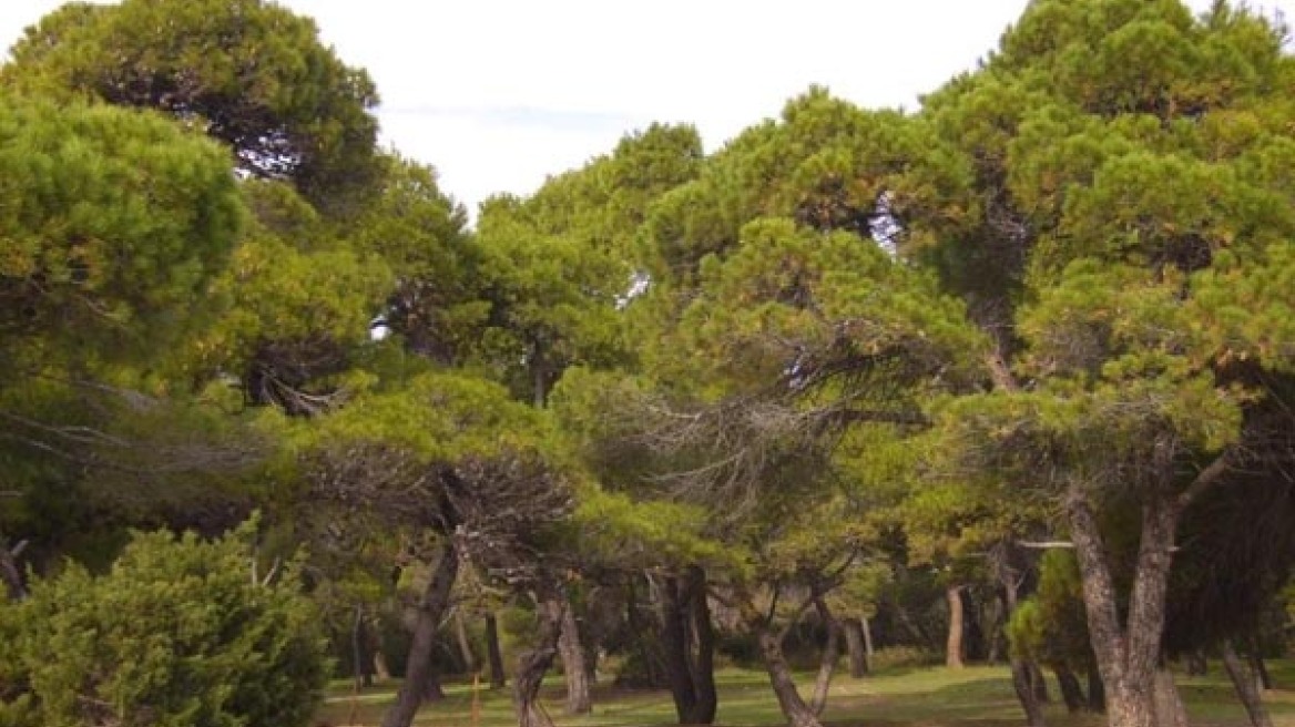 Έρχεται η ρύθμιση για τους υπαλλήλους της Βουλής